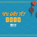 Ưu đãi Đón Tết Kỷ Hợi