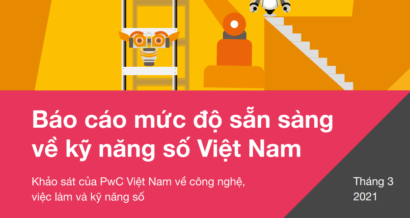 Download tài liệu Báo cáo mức độ sẵn sàng về kỹ năng số Việt Nam