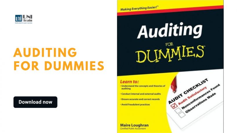 [Tải miễn phí] Auditing for Dummies