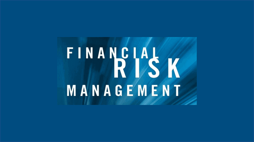 [Free download] Financial Risk Management