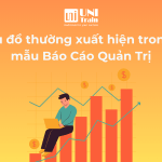 Các loại biểu đồ thường xuất hiện trong các mẫu Báo Cáo Quản Trị