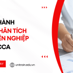 Trở thành nhà phân tích chuyên nghiệp với ACCA