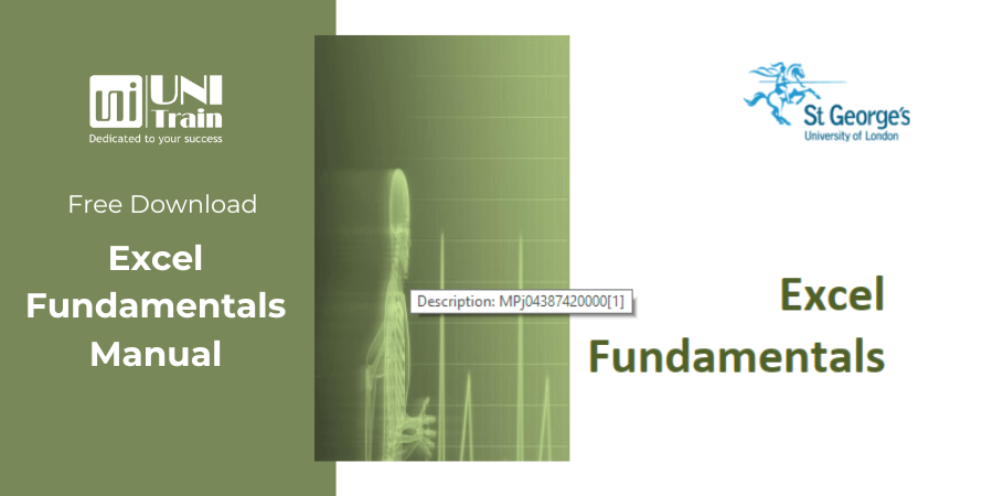 [Free Download] Excel Fundamentals Manual